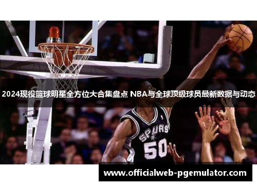 2024现役篮球明星全方位大合集盘点 NBA与全球顶级球员最新数据与动态